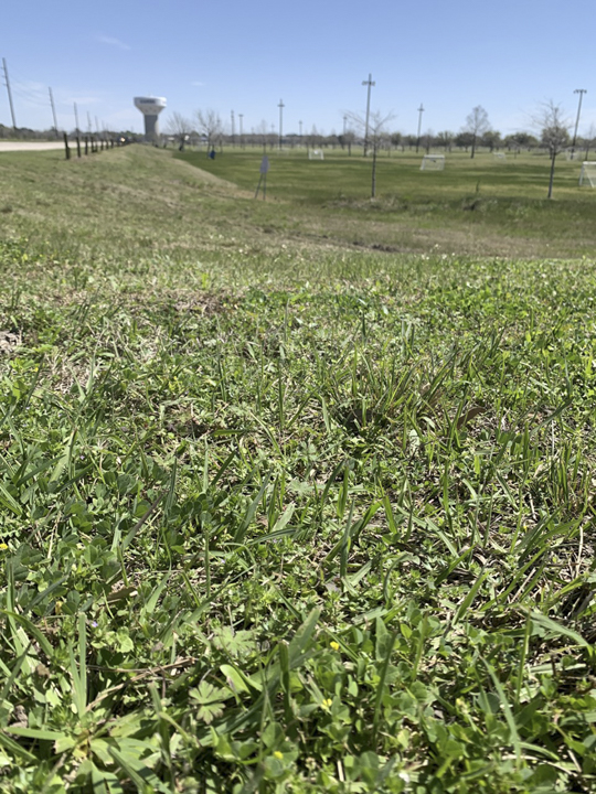 The soccer fields on Major drive, which double as retention ponds to alleviate the drainage burden in heavy rainfall events, sits dry, March 6. UP photo by Christina Segura