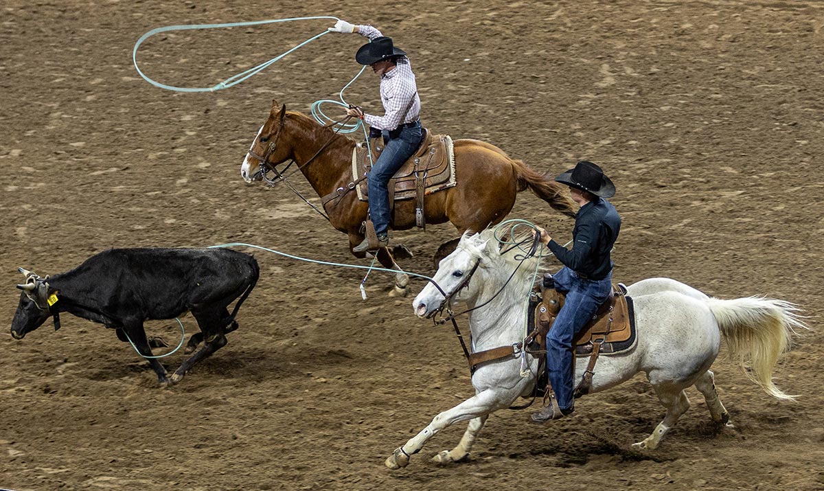 Two cowboys rope a calf during the South Texas State Fair Rodeo, Beaumont, Texas, March 23. UP photo by Brian Quijada.
