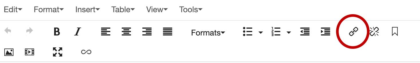 Insert Link Chain Icon