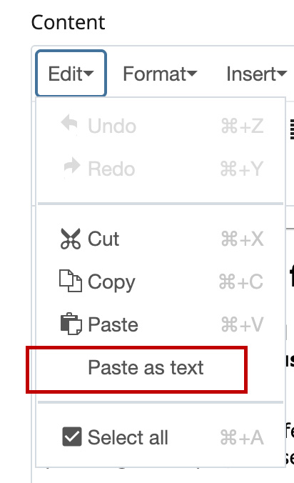 Paste as Text