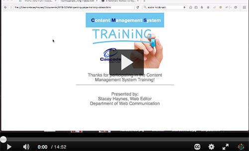 CMS Training for Beginners